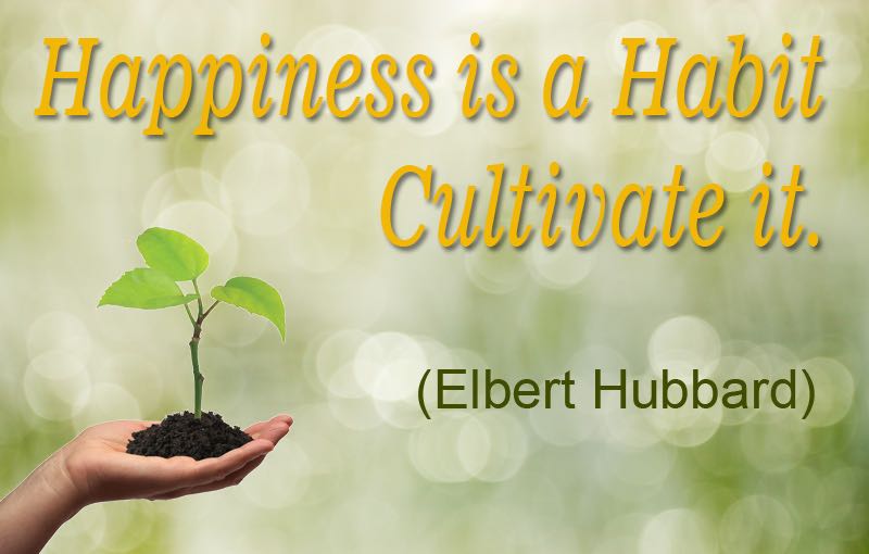 Happiness is a habit cultivate it Elbert Hubbard